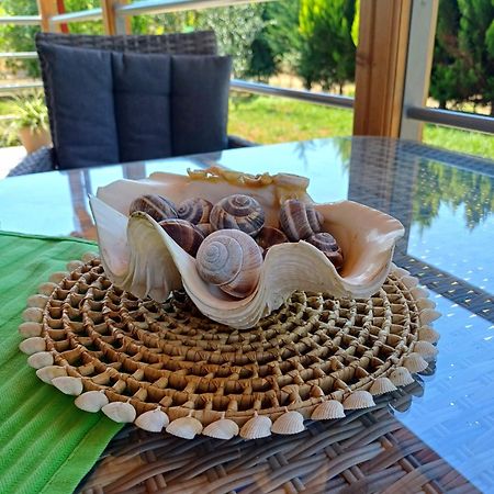 Villa Nikos Nea Plagia Luaran gambar